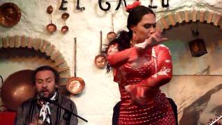 Sacromonte Flamenco in Granada [upl. by Brace]