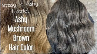 Brassy To Ashy Tutorial  Ashy MUSHROOM Brown Hair Color [upl. by Susan]