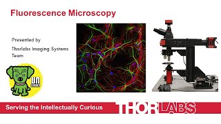 Fluorescence Microscopy Technology Fundamentals and Applications [upl. by Martguerita222]