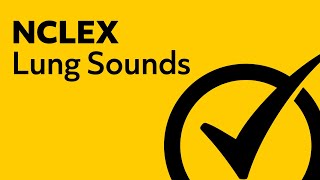 Lung Sounds  NCLEX Review [upl. by Girardo810]