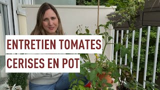 Cultiver les tomates cerises en pot [upl. by Hirsh]