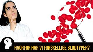 HVORFOR HAR VI FORSKELLIGE BLODTYPER [upl. by Kieger]