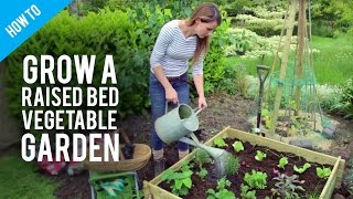 How to grow vegetables in raised bed gardens [upl. by Milon]