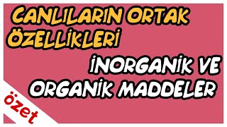 Canlıların Ortak Özellikleri  İnorganik ve Organik Maddeler Özet  TYT Biyoloji [upl. by Cate517]