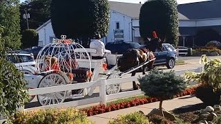 Northern Indiana Amish Country Shipshewana [upl. by Nedra]