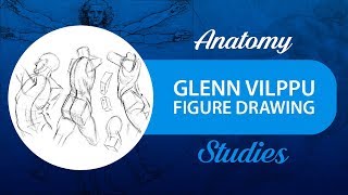 Anatomy and Figure Drawing Studies Glenn Vilppu [upl. by Ynnal434]