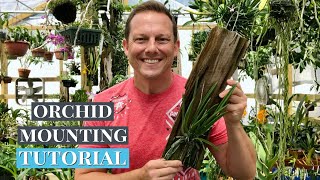 Orchid Mounting TUTORIAL [upl. by Chrissy]