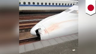 Bullet train accident Parts found in nose of train  TomoNews [upl. by Adaven]