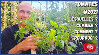 PLANTATION DES TOMATES  Quoi quand comment combien [upl. by Lebbie]