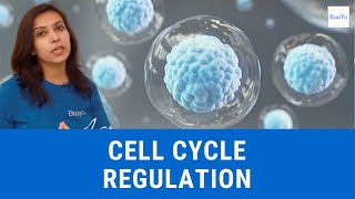 Cell Cycle Regulation  Basics Explained  Hindi [upl. by Aynotahs]