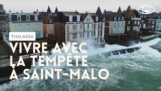 Vivre avec la tempete à SaintMalo  Thalassa [upl. by Anoblav494]