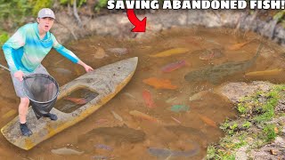 Saving ABANDONED Aquarium Fish From FLOODED MUD POND [upl. by Enomys160]