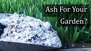 Ash For Your Garden  4 Ways To Apply It Properly [upl. by Miharbi]