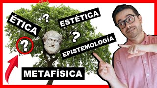 ðŸŒ³ Las RAMAS DE LA FILOSOFIÌA â–º 193 Disciplinas FASCINANTESðŸ˜Ž [upl. by Rednazxela]