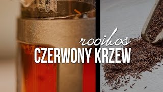 Rooibos herbata jak parzyć czerwonokrzew właściwości Czajnikowypl [upl. by Vernita]