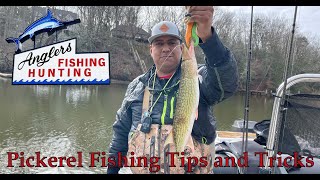 Pickerel Fishing Tips Tricks and How Tos [upl. by Just]