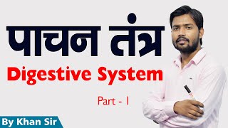 Digestive System  पाचन तंत्र  Khan GS Research Center  Patna [upl. by Bowers958]