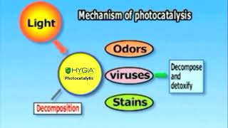 Mechanism Photocatalysis [upl. by Shaine]