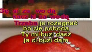 Karaoke Biesiadna Czerwone jabłuszko [upl. by Ettenawtna]