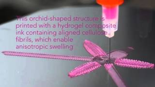 4D Printing Shapeshifting Architecture [upl. by Baudin]