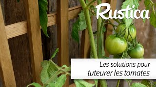 Comment tuteurer les tomates [upl. by Bonilla817]