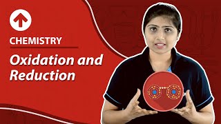 Oxidation and Reduction  Chemistry [upl. by Aramak]