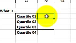 quartiles in excel [upl. by Ainoet817]