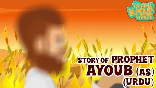 Prophet Stories In Urdu  Prophet Ayoub AS Story  Quran Stories In Urdu  Urdu Cartoons [upl. by Orva]