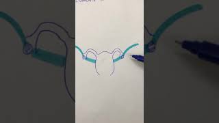 Ligaments of Ovary and Uterus Concept [upl. by Gallard381]