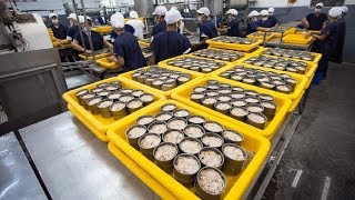 How it made Canned Tuna processing line in Factory [upl. by Eellek]