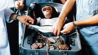 NASAs First Chimp in Space [upl. by Oemor]