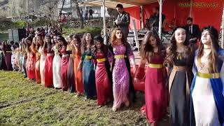 Kurdish Dance  Baile kurdo [upl. by Imoen]