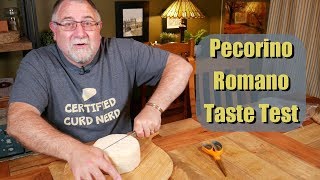 Pecorino Romano Taste Test [upl. by Latsyrd700]