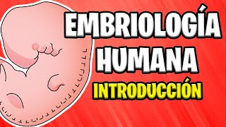 ✅ INTRODUCCIÓN A LA EMBRIOLOGÍA HUMANA  Conceptos Básicos 📚 [upl. by Eanrahs369]