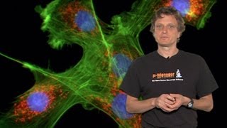 Microscopy Introduction to Fluorescence Microscopy Nico Stuurman [upl. by Alleira]