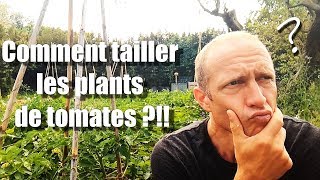 Comment TAILLER les plants de tomates Tuto [upl. by Namaj]