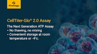 CellTiter Glo® 2 0 Cell Viability Assay [upl. by Amoihc]