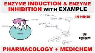 Enzyme Induction  Enzyme Inhibition  Pharmacology  Medicinal Chemistry  Carewell Pharma [upl. by Weil]