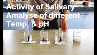 ACTIVITY OF SALIVARY AMYLASE AT DIFFERENT TEMPERATURE AND pH [upl. by Ardiek]