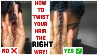 Two Strand Twist Natural Hair Tutorial [upl. by Manolo]