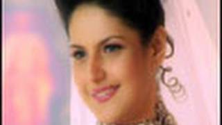 Salaam Aaya Video Song  Veer  Salman Khan  Zarine Khan [upl. by Calandria]