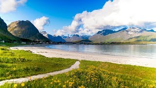 Uplifting Music  light positive happy music Gullrosøya  1 hour [upl. by Attevroc]