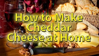 Cheddar Cheese made at home [upl. by Namzed]