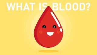 Phlebotomy amp Laboratory Blood Tubes Explained [upl. by Nikolia]