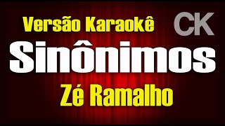 Zé Ramalho Sinônimos Karaokê [upl. by Coady81]