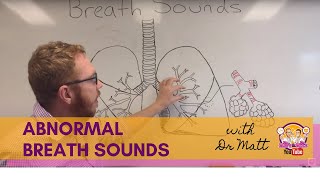 Abnormal Breath Sounds  Respiratory System [upl. by Ahsihat]