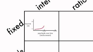 Learning Schedules of Reinforcement [upl. by Ecyned]