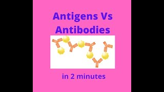 Antigens vs Antibodies in under 2 mins [upl. by Pich401]