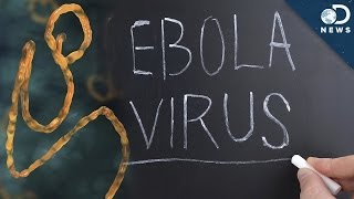 Everything You Need To Know About Ebola In Under 3 Minutes [upl. by Yekciv]