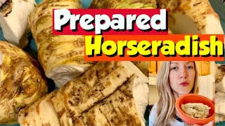 Prepared Horseradish Homemade Horseradish Recipe [upl. by Toms]